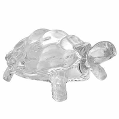glass tortoise