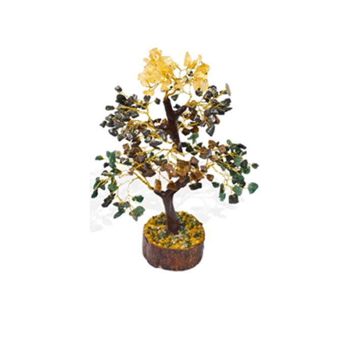Tree-Money-Megnet