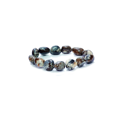 leopard-jasper-br.